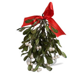 HANGING MISTLETOE