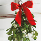 HANGING MISTLETOE