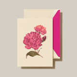 MODERN VINTAGE PEONIES