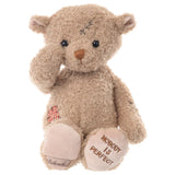 NOBODY IS PERFECT BEAR