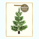 PINE BOTANICAL SMALL SQUARE GIFT BAG