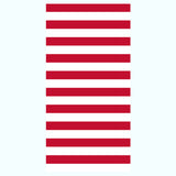 NO PEEKING STRIPE TISSUE PAPER