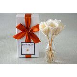 B'S KNEES SPICED PUMPKIN CHAI DIFFUSER