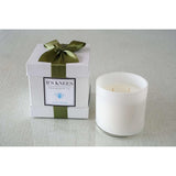 B'S KNEES 3 WICK BLUE BONZAI BUTTERFLY CANDLE