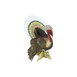 Derian Turkey Place Cards