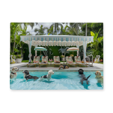 Pool Dogs Glass Cutting Board