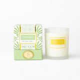 CITRUS SAGE 6 OZ SOY WAX CANDLE