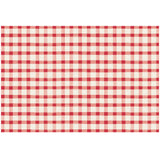 RED PAINTED CHECK PLACEMAT