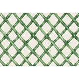 GREEN LATTICE PLACEMAT