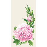 Peony Paper Guest Napkins