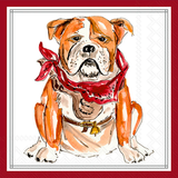 Maroon Dog Hometown Pride Paper Beverage Napkins