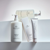 Marseille Memoir Hand Lotion