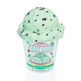 MINT CHIP ICE CREAM PINT SLIME