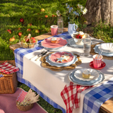 Red Gingham Paper Dinner Plates