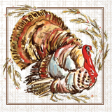 Turkey Collection Cocktail Napkins