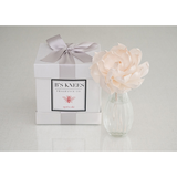 B'S KNEES APRES SKI DIFFUSER CLEAR