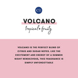 VOLCANO FLORA EDIT HAND WASH