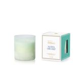 Luce d'Amalfi Aloha Orchid 8 oz. Box Candle