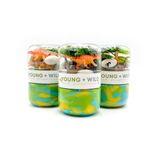 Dinosaur Grab & Go Dough Jar