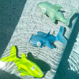 Salty the Shark Dive Buddies