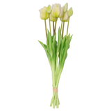 Long Stem White Tulips